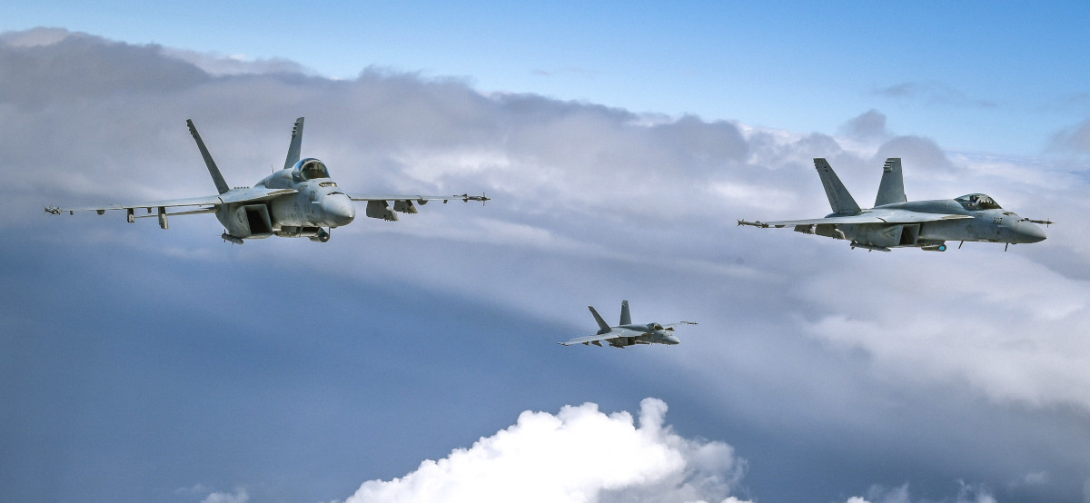 message-editor%2F1554303310940-hornet-3.jpg